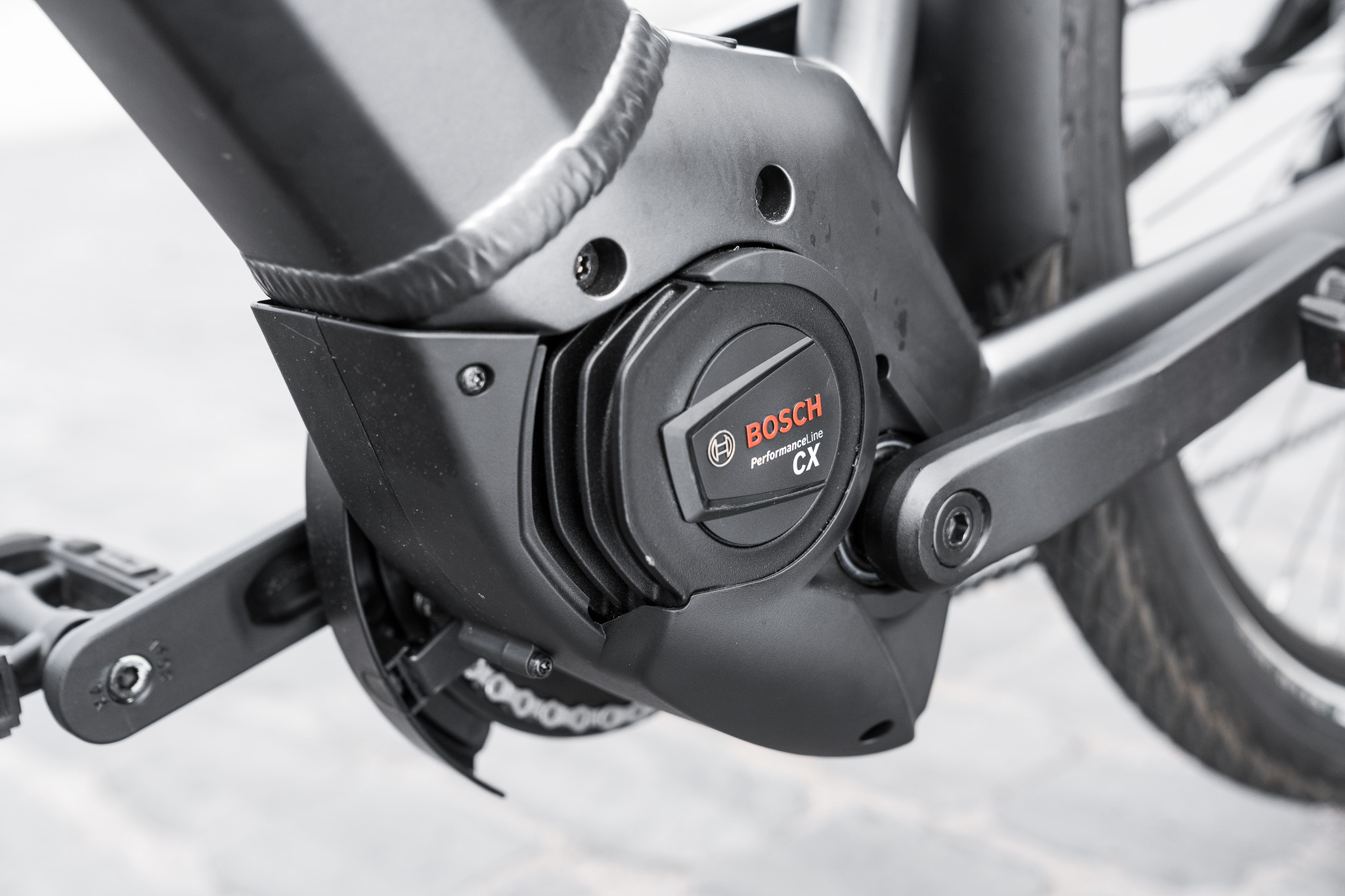 PEGASUS_Premio_Evo_10_Gent_029