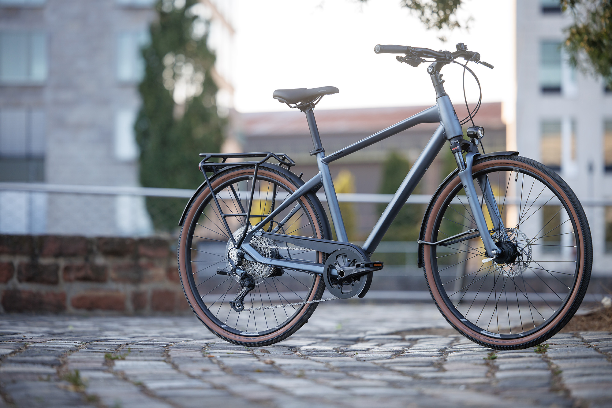 ZEG Pegasus Premio Frankfurt 16-08-2022 @danielgeiger4257_