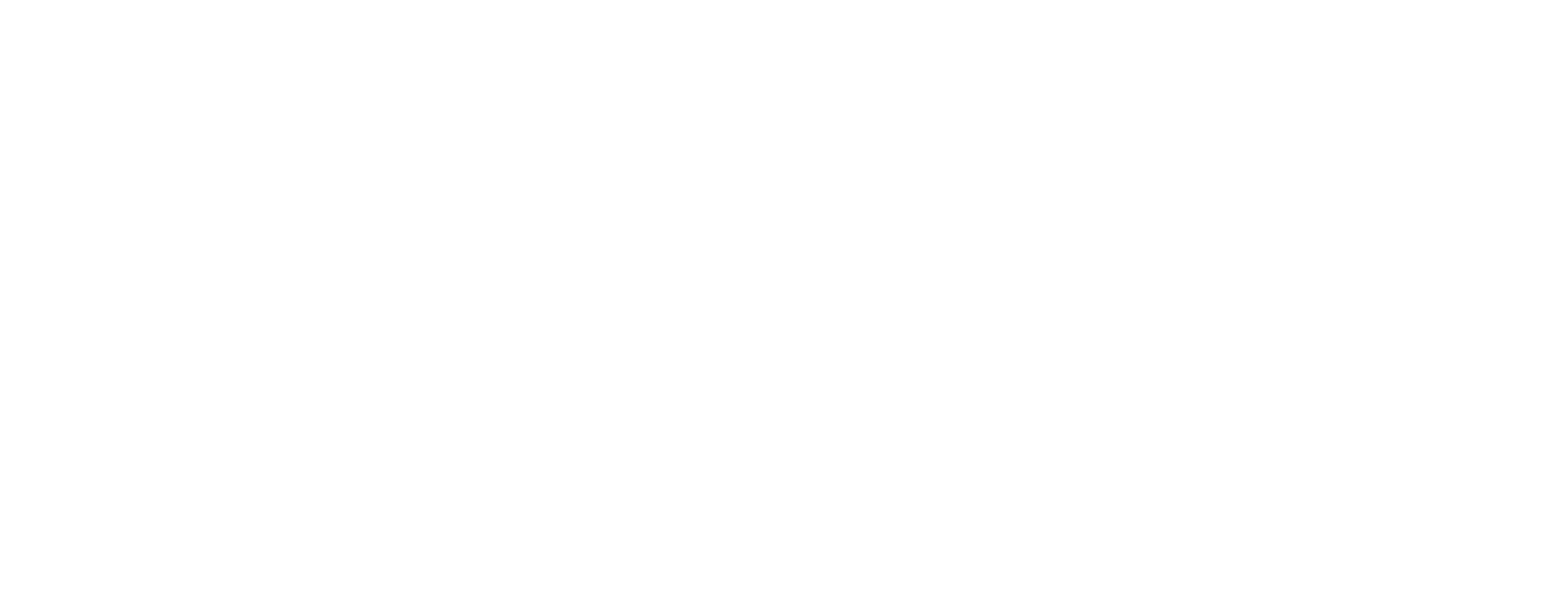 PEGASUS_Bildmarke_weiss_transparent25