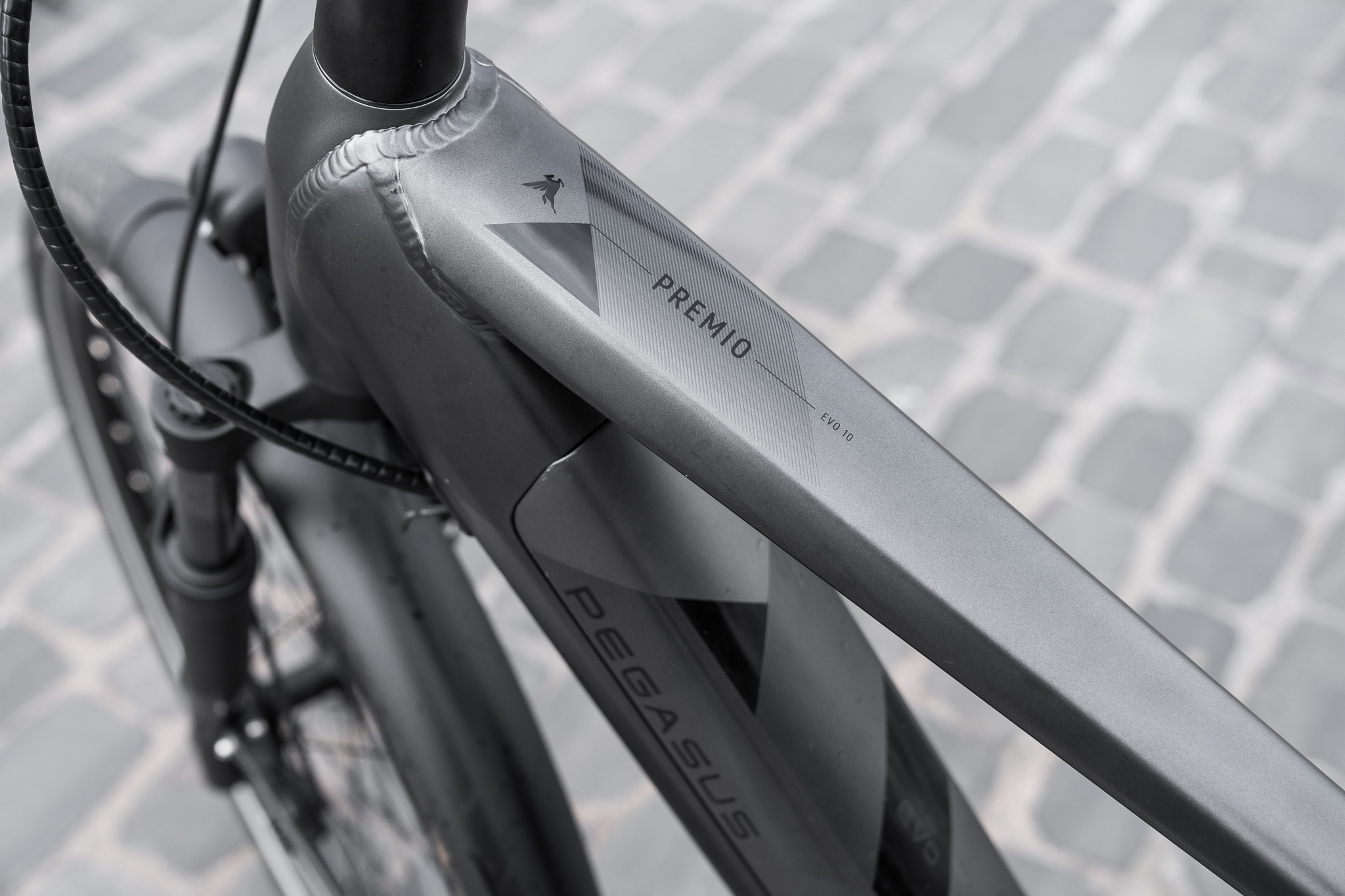 PEGASUS_Premio_Evo_10_Gent_030